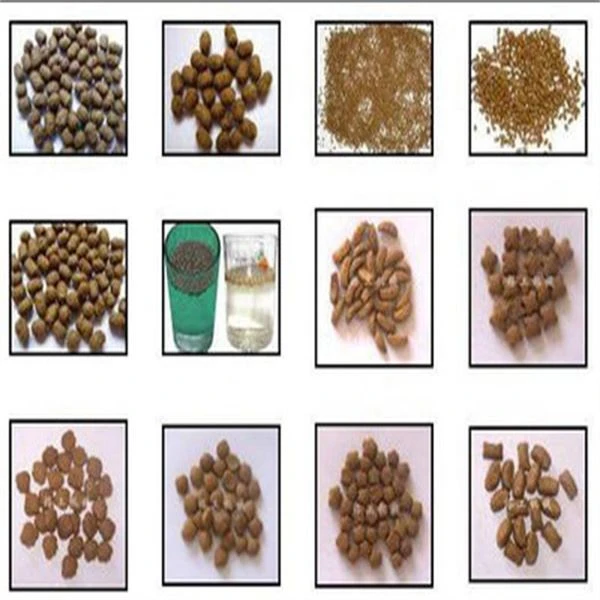 fish feed pellet extruder