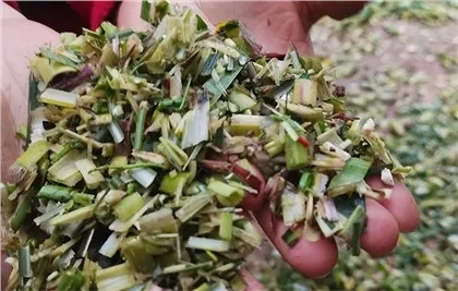 Petita màquina trituradora de palla